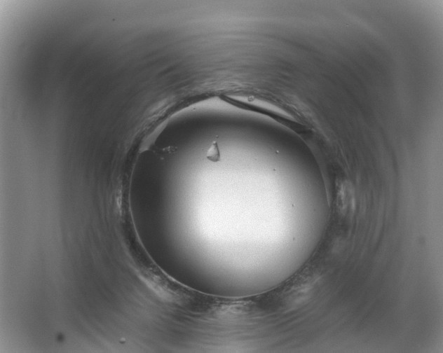 X0000067520072200604150210