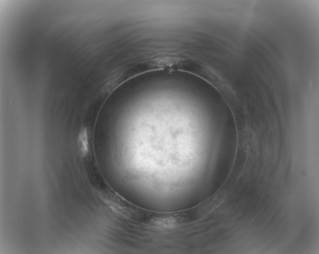 X0000067520075200604150210