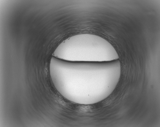 X0000067520085200604150211