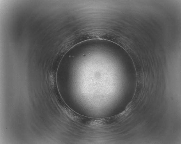 X0000067520086200604150211