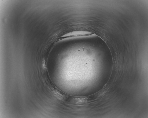 X0000067520089200604150211