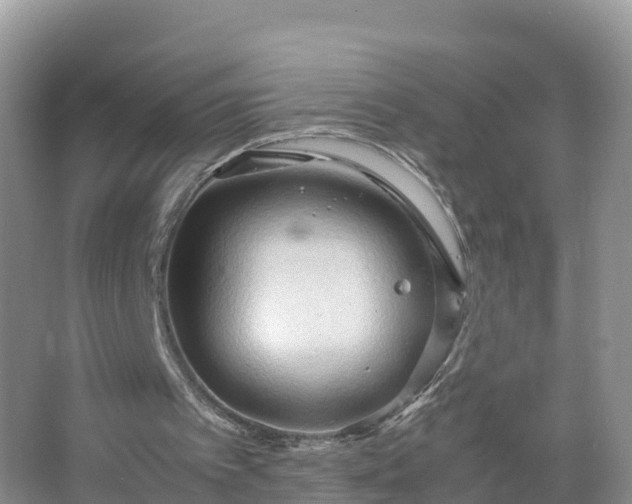 X0000067520097200604150210