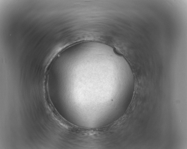 X0000067520098200604150210