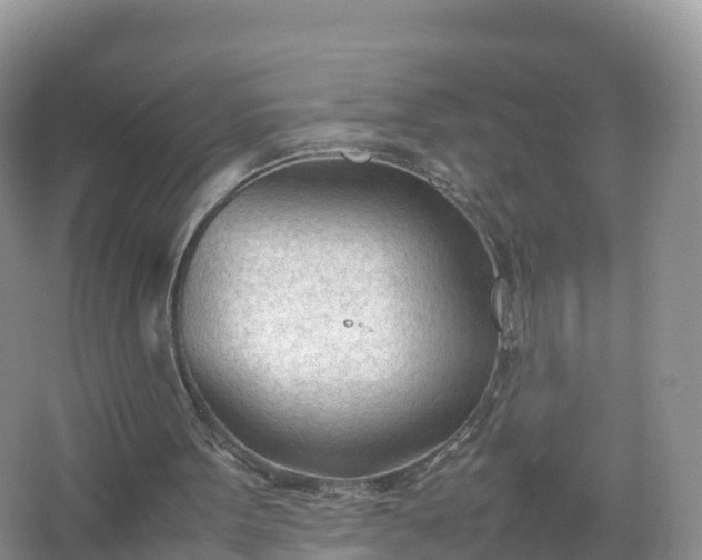 X0000067520099200604150210