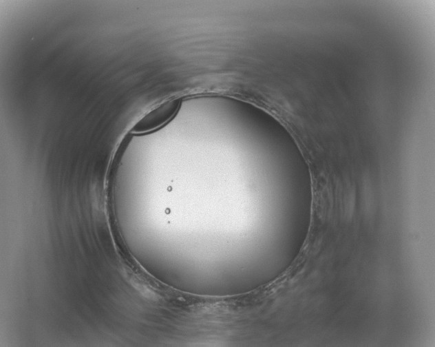 X0000067520100200604150210