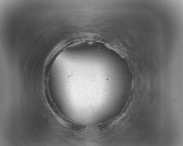 X0000067520101200604150210