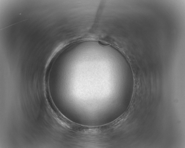 X0000067520102200604150210