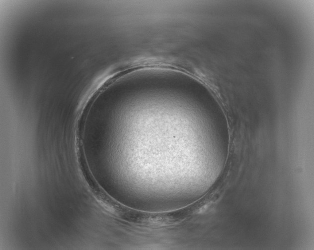 X0000067520103200604150210