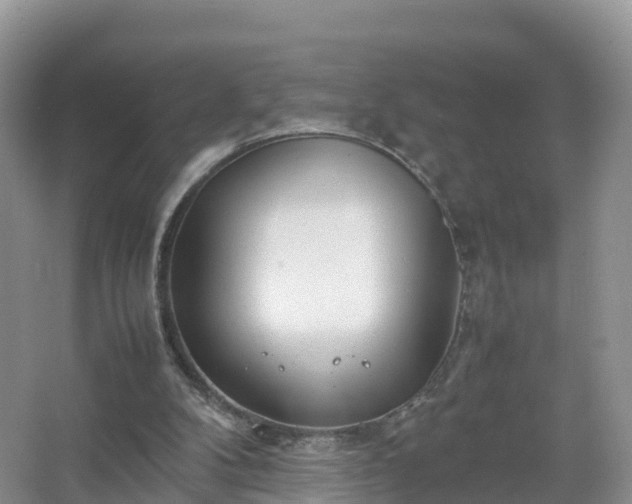 X0000067520104200604150210