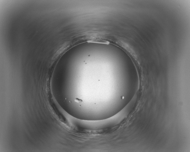 X0000067520105200604150210