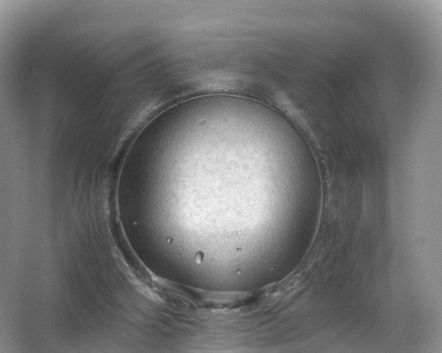 X0000067520106200604150210