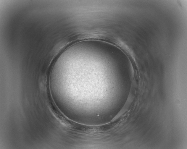 X0000067520107200604150210