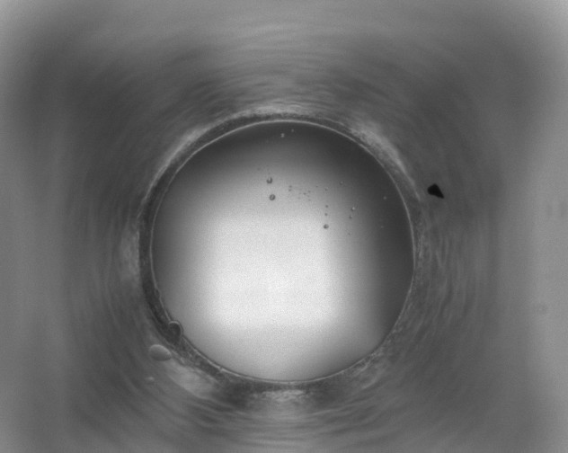 X0000067520108200604150210