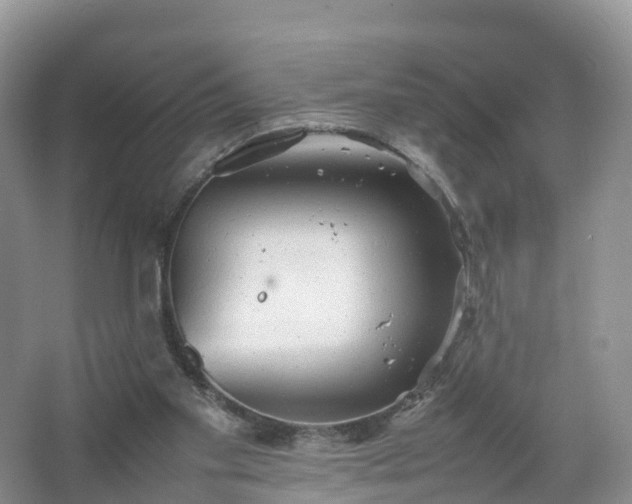 X0000067520109200604150210