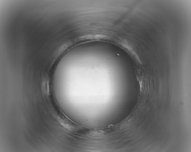 X0000067520110200604150210