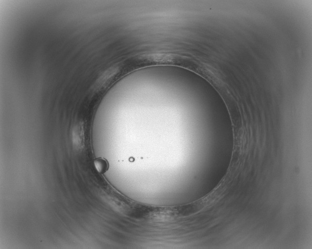 X0000067520120200604150210