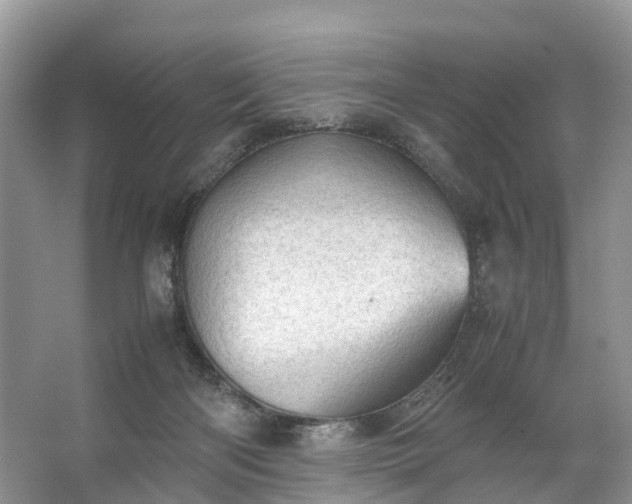 X0000067520122200604150210