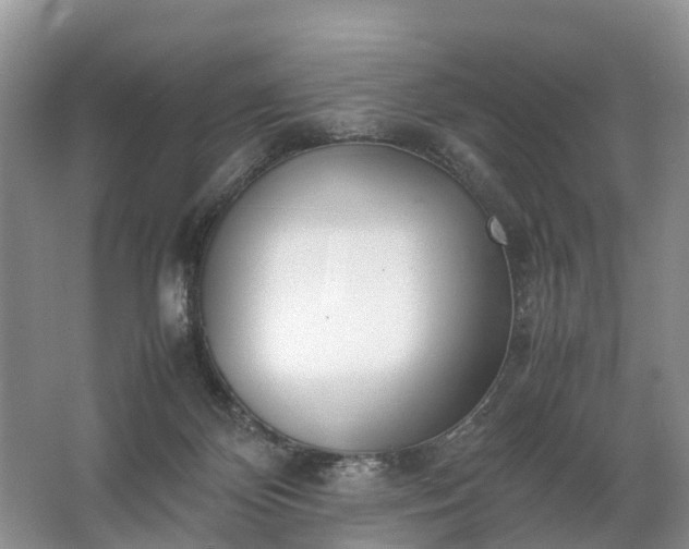 X0000067520124200604150210