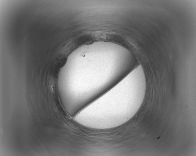 X0000067520125200604150210