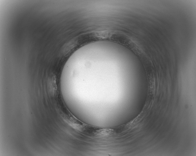 X0000067520128200604150210