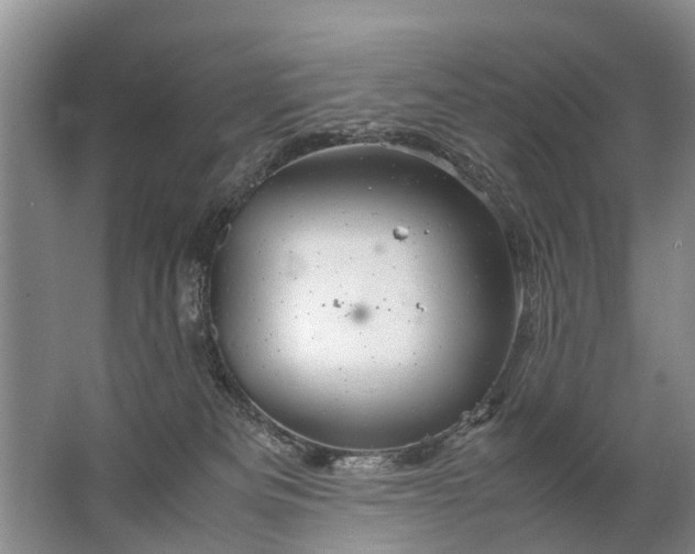 X0000067520133200604150209