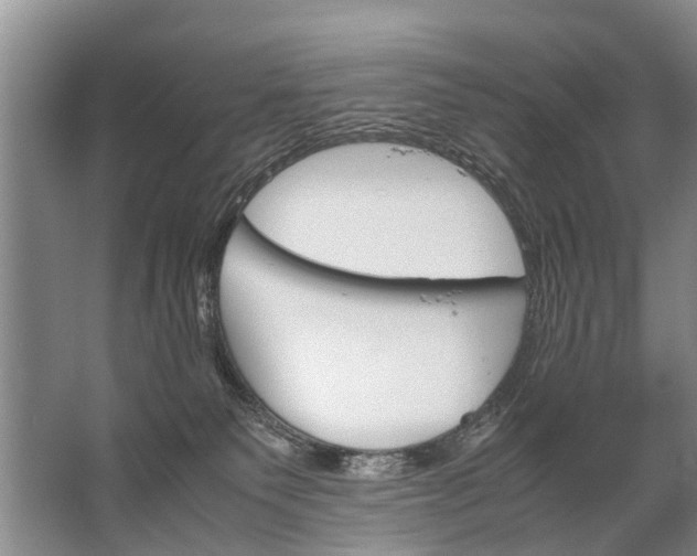 X0000067520135200604150209