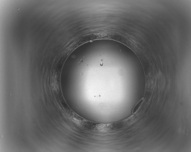 X0000067520136200604150209