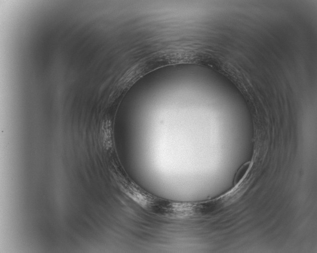 X0000067520144200604150209