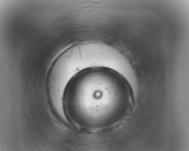 X0000067520146200604150208