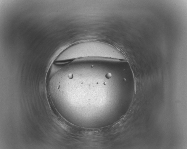 X0000067520147200604150208