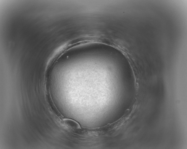 X0000067520149200604150209