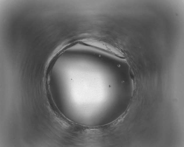 X0000067520150200604150209