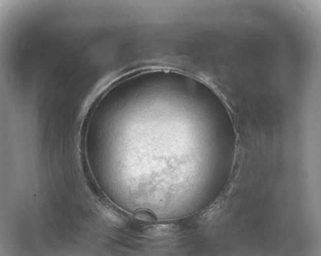 X0000067520151200604150209