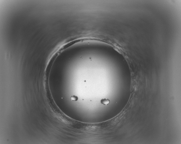 X0000067520152200604150209