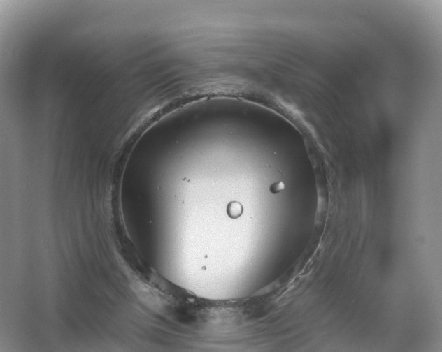 X0000067520154200604150209