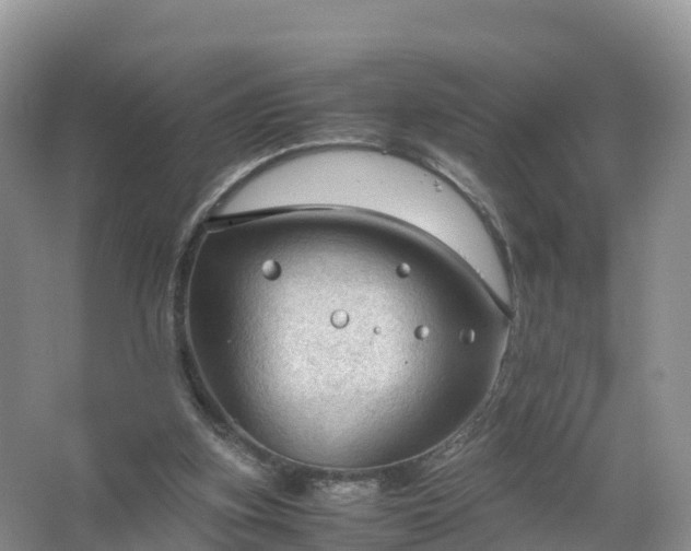 X0000067520155200604150209