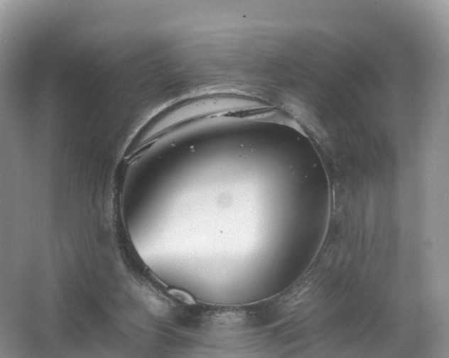 X0000067520156200604150209