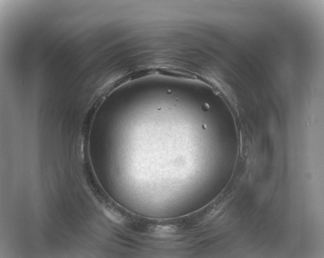 X0000067520157200604150209