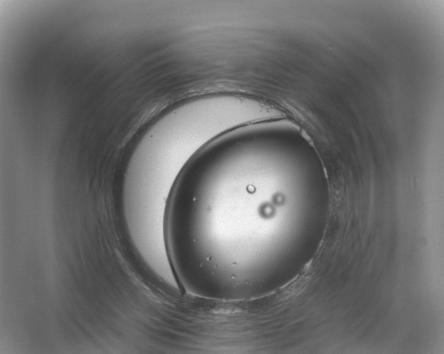 X0000067520158200604150209