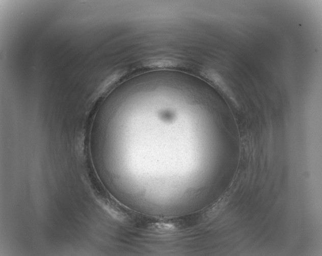 X0000067520159200604150209