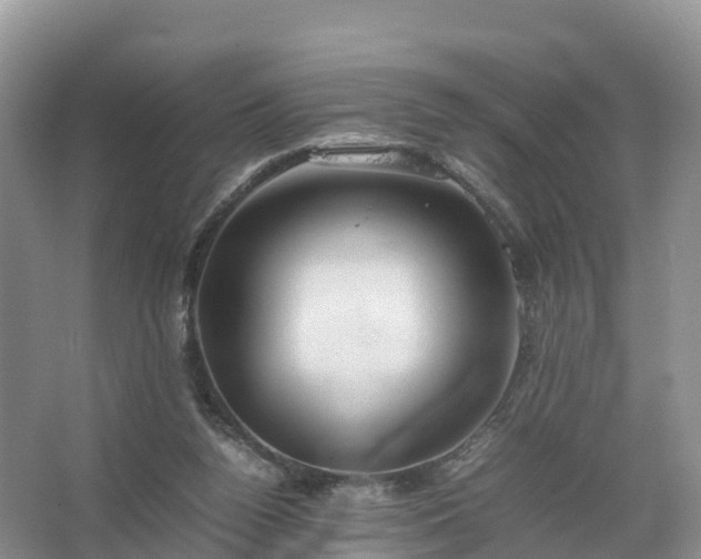 X0000067520160200604150209