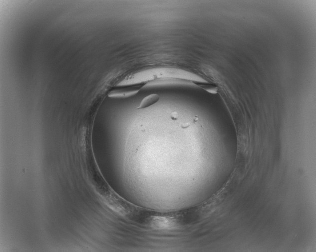 X0000067520167200604150209