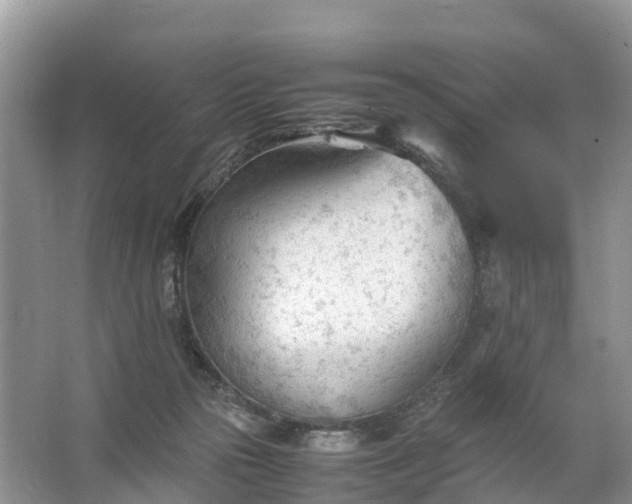 X0000067520169200604150209