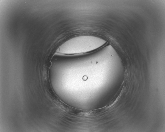 X0000067520170200604150209