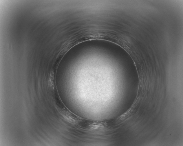 X0000067520175200604150209