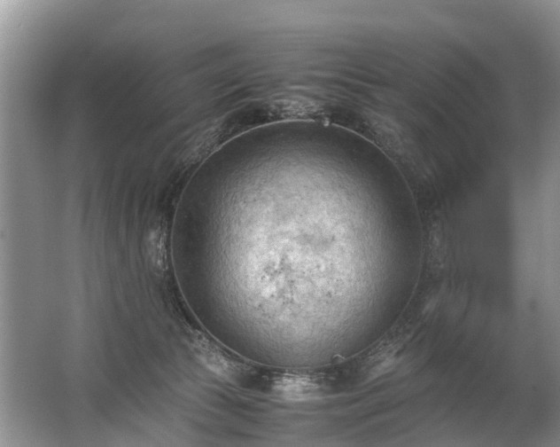 X0000067520177200604150209