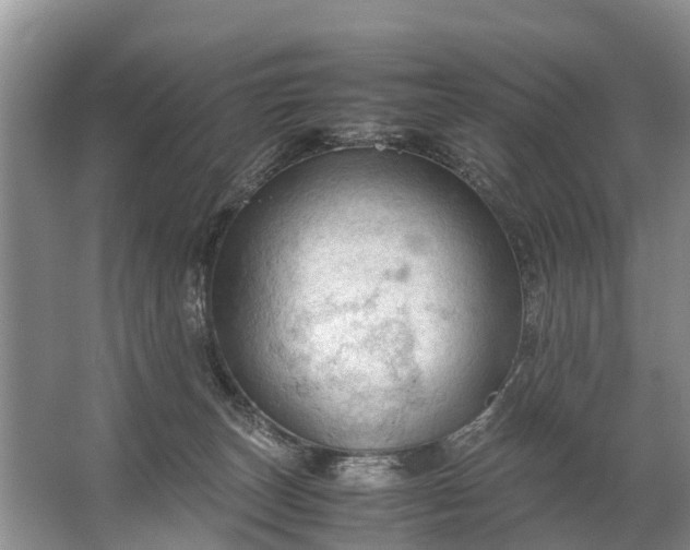 X0000067520179200604150209