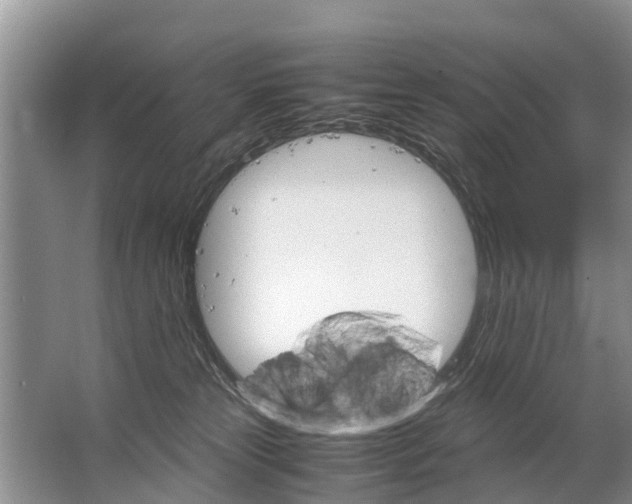 X0000067520181200604150209