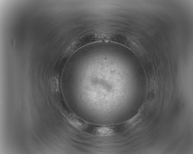 X0000067520183200604150209