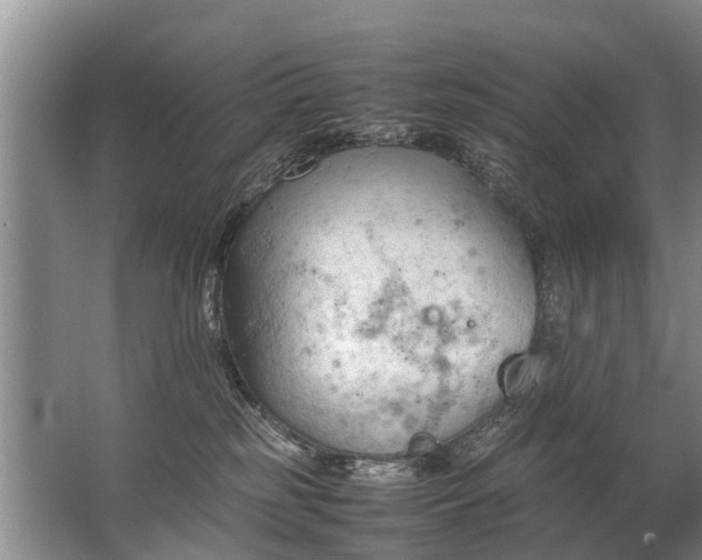 X0000067520185200604150209